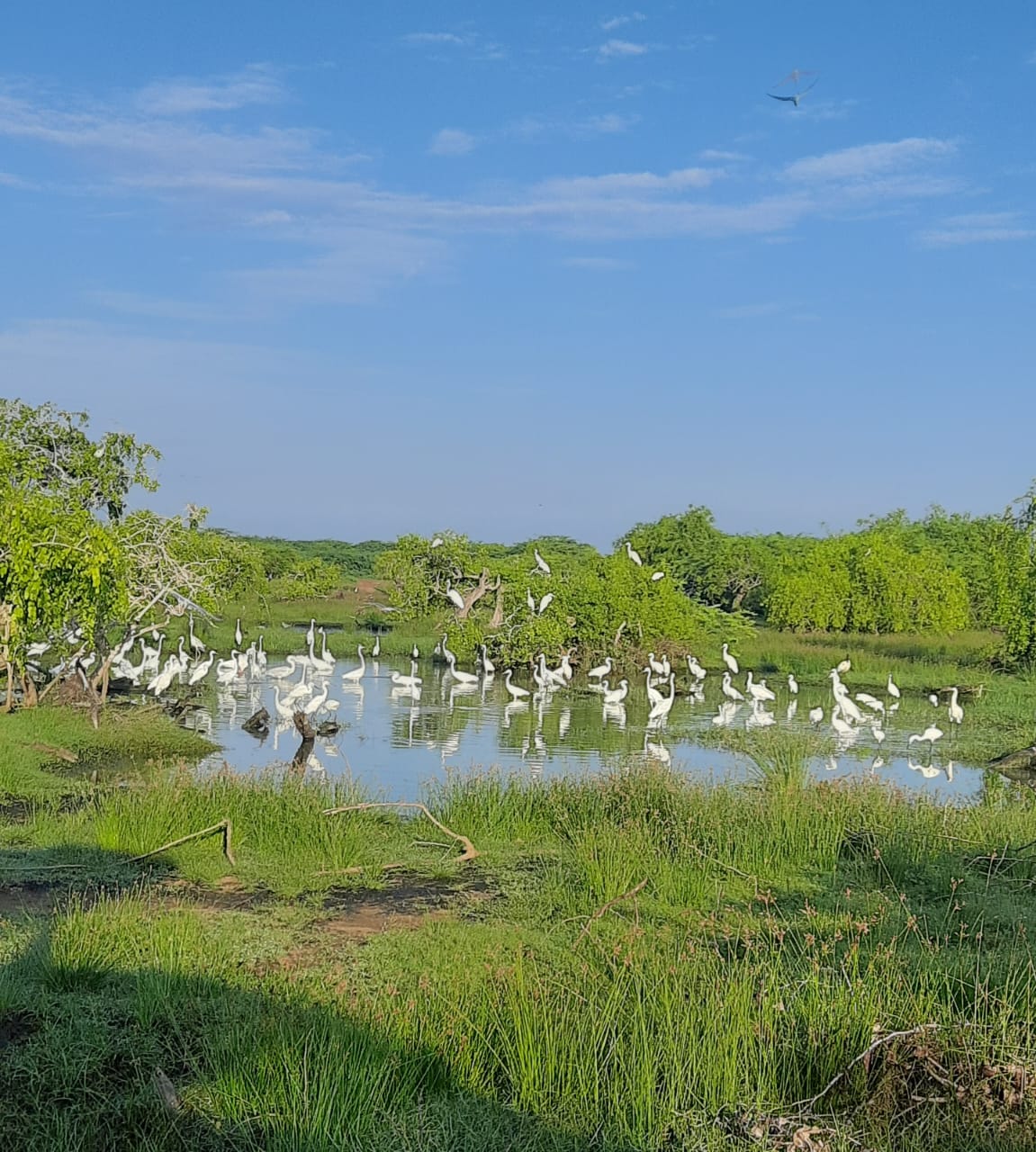 Waterfall exploration