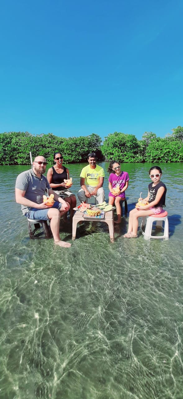 Tea plantation sunset in Sri Lanka